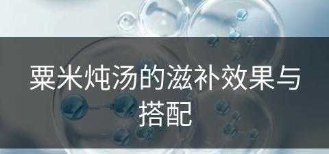 粟米炖汤的滋补效果与搭配(粟米炖汤的滋补效果与搭配功效)